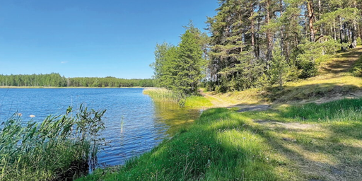 Беларусь рыбхоз Ельский