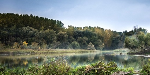 Сербия: р. Дунай