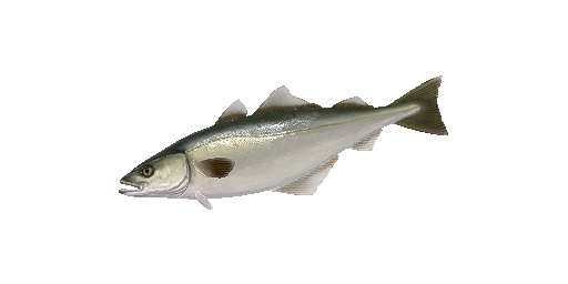 Люр